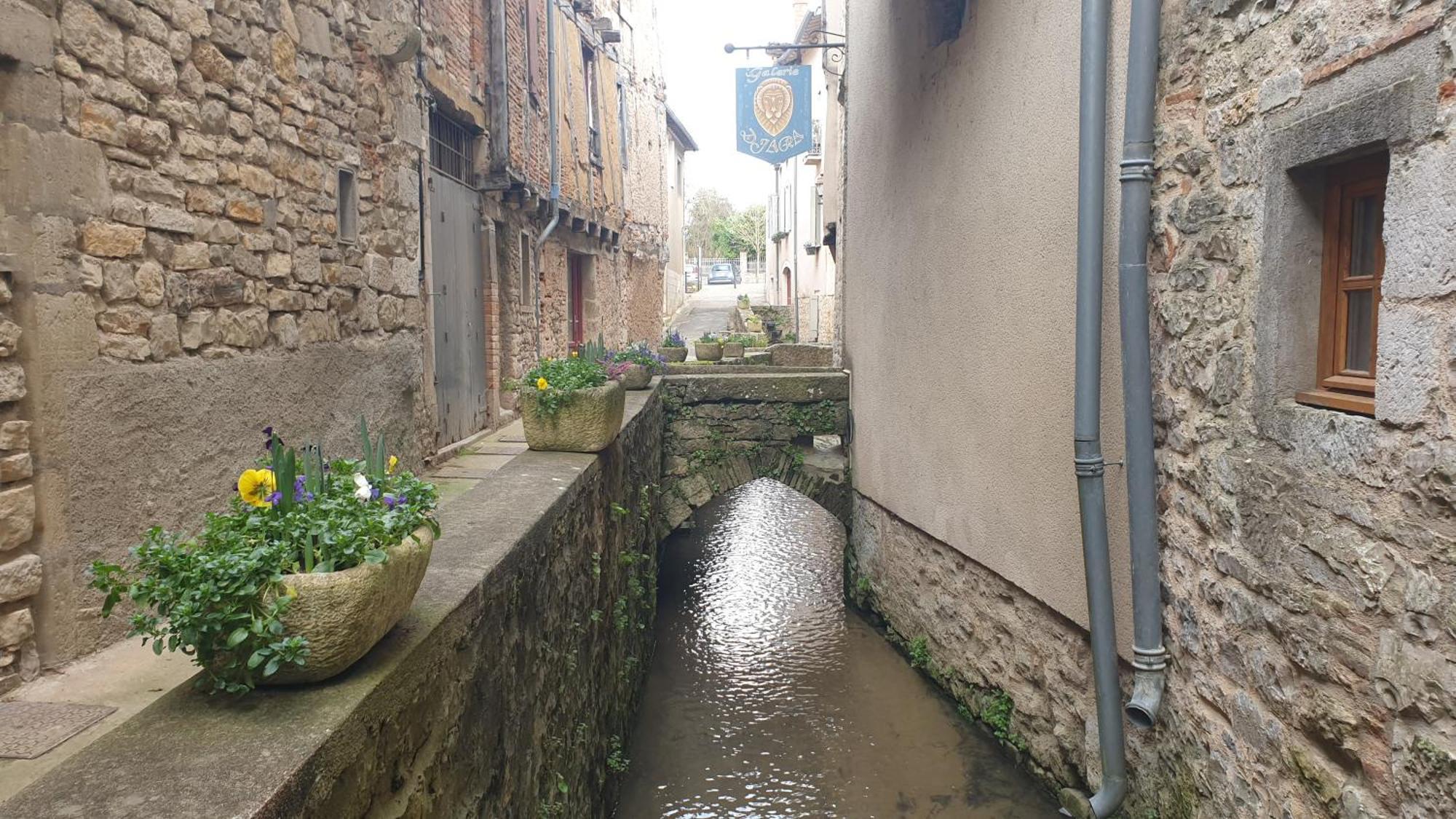 Seuls En Pleine Nature - Gite La Cote Blanche Puygaillard-de-Quercy ภายนอก รูปภาพ