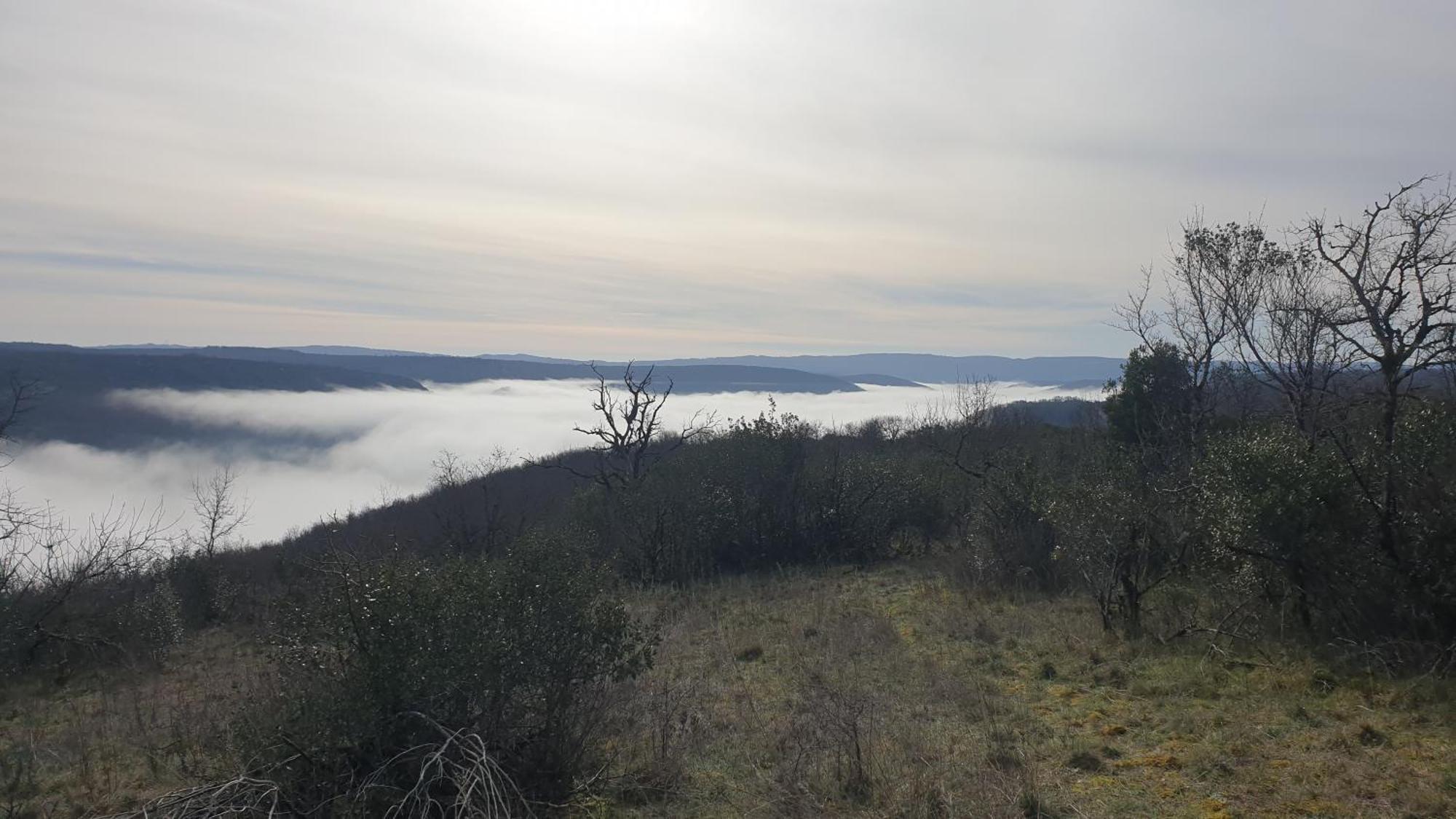Seuls En Pleine Nature - Gite La Cote Blanche Puygaillard-de-Quercy ภายนอก รูปภาพ