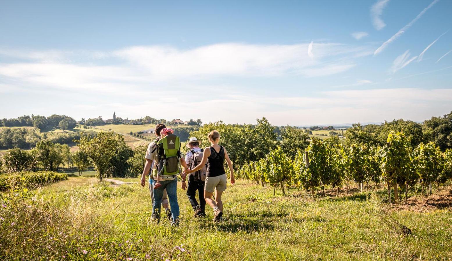 Seuls En Pleine Nature - Gite La Cote Blanche Puygaillard-de-Quercy ภายนอก รูปภาพ