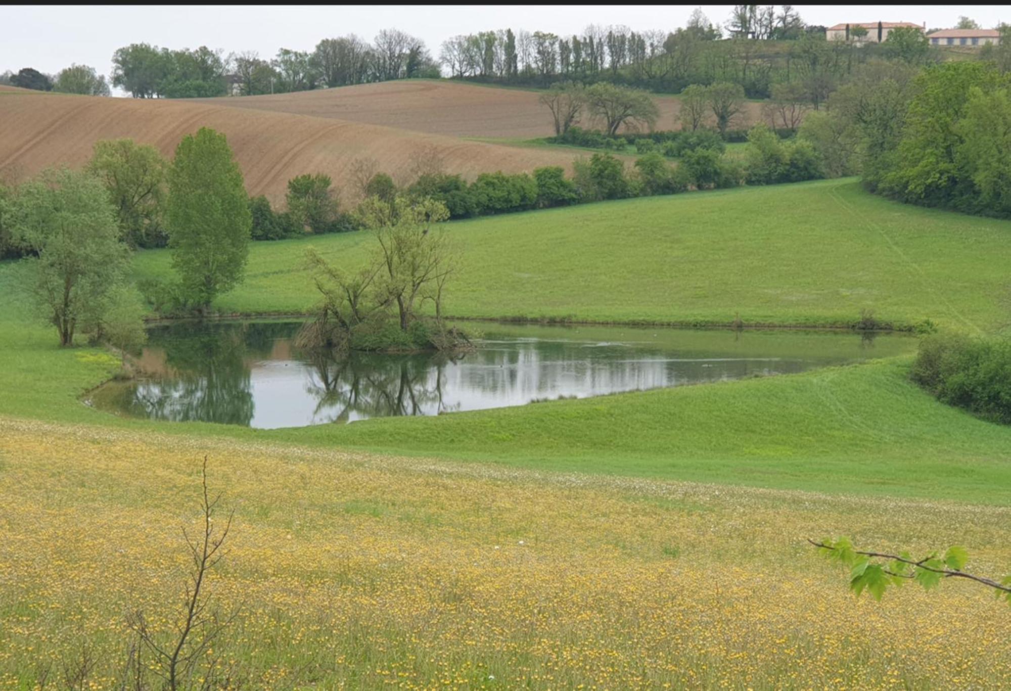 Seuls En Pleine Nature - Gite La Cote Blanche Puygaillard-de-Quercy ภายนอก รูปภาพ