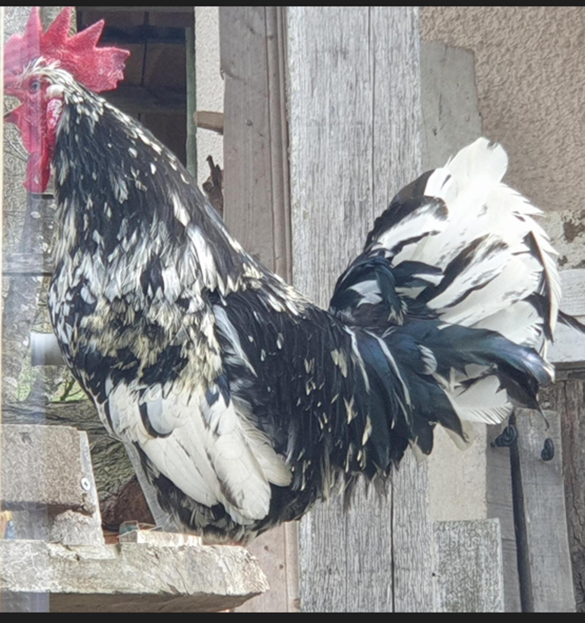 Seuls En Pleine Nature - Gite La Cote Blanche Puygaillard-de-Quercy ภายนอก รูปภาพ